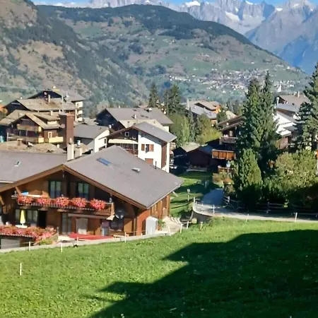 Theo דירה גראצ'ן